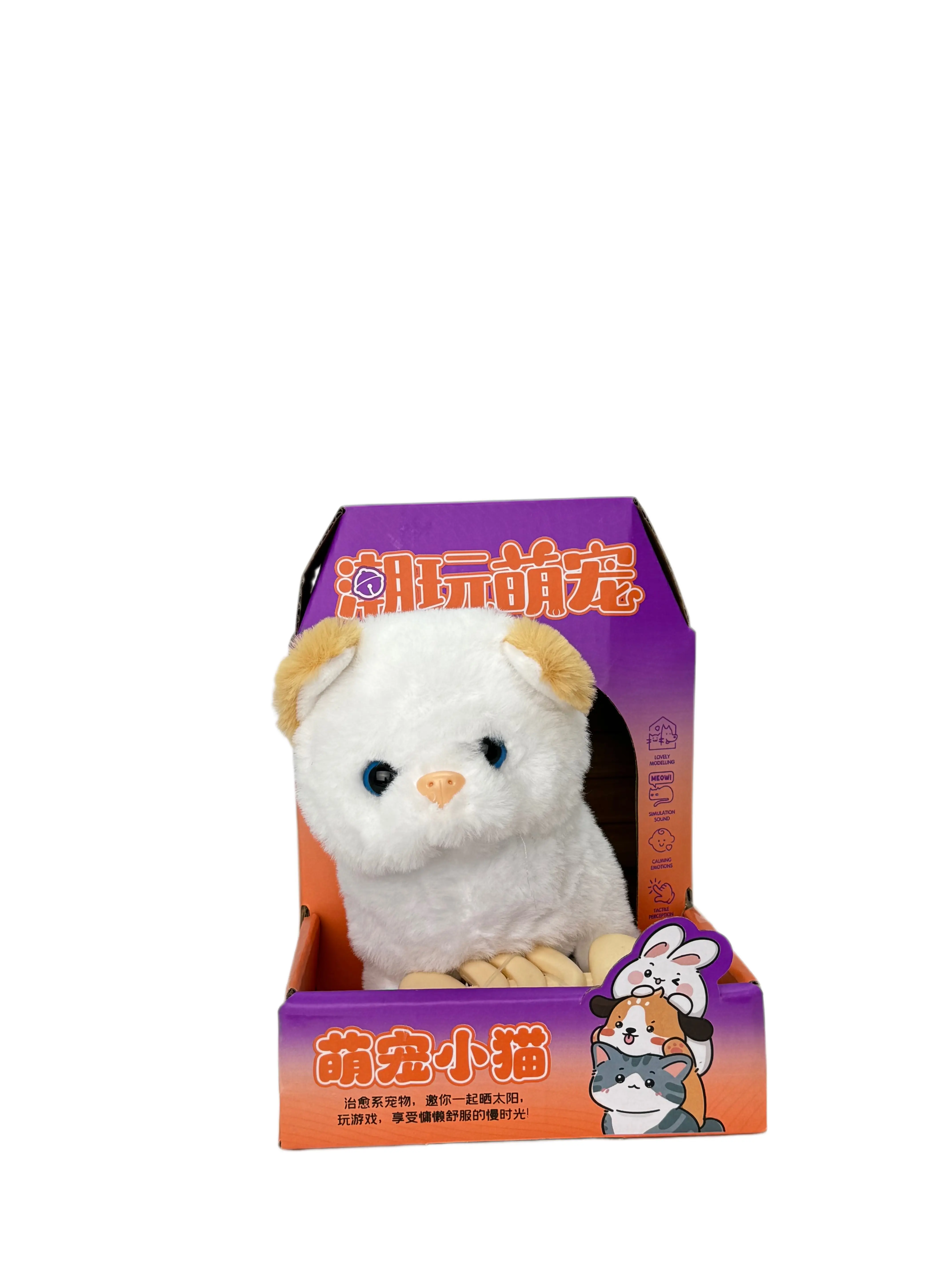 Кошечка в коробке